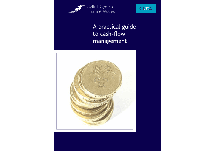 Cash Flow Management Guideline — preview