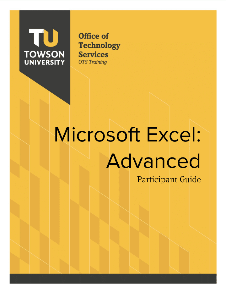 Excel Advanced — preview