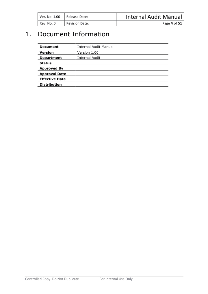 Internal Audit Manual — preview