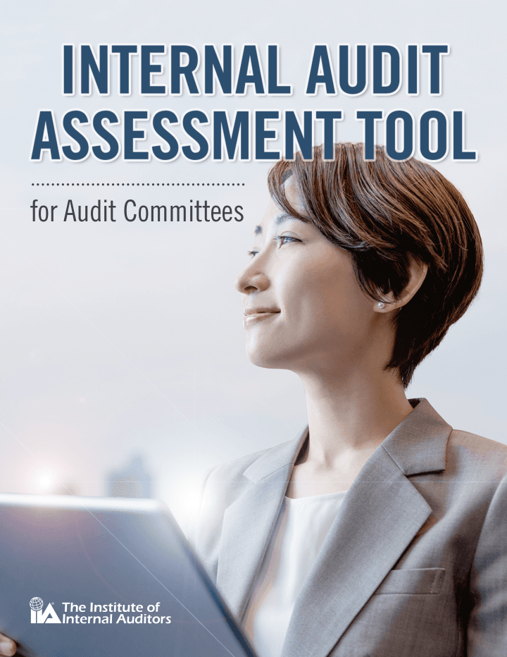 Internal audit tool — preview