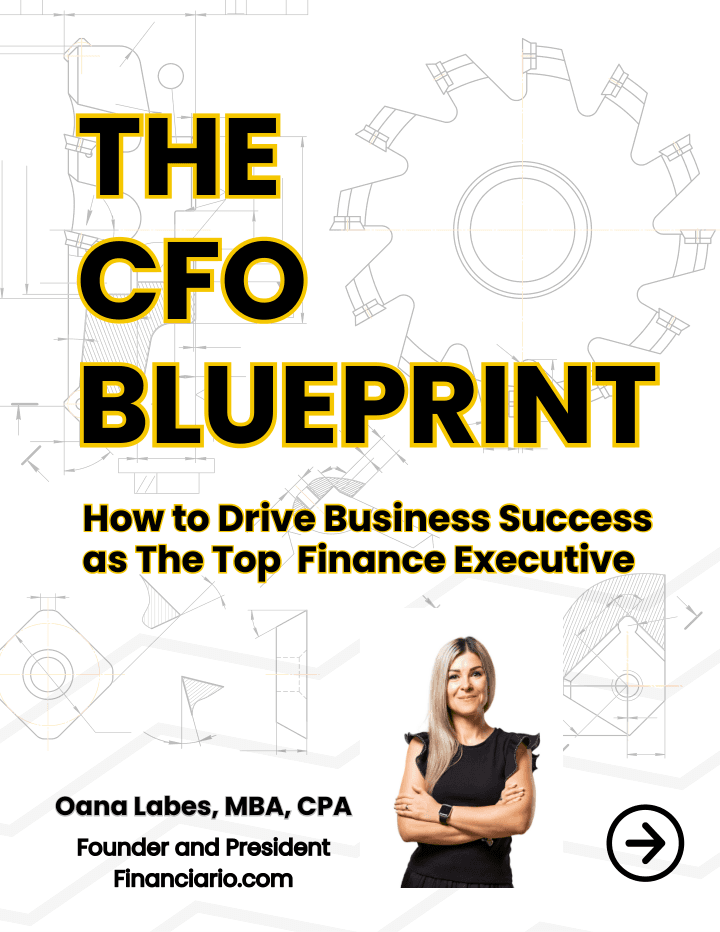 The CFO Blueprint - Oana Labes, MBA, CPA — preview